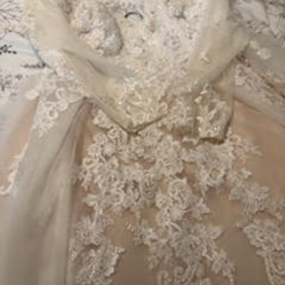 David's Bridal Collection Wedding Dress with Train - Picture 5 of 9